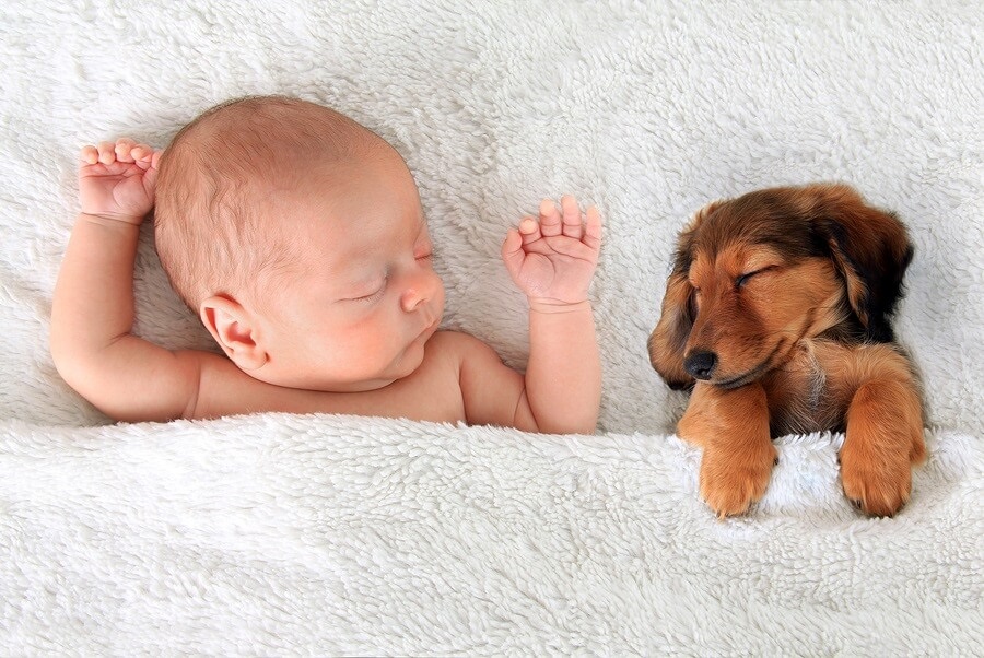 Baby And Puppy